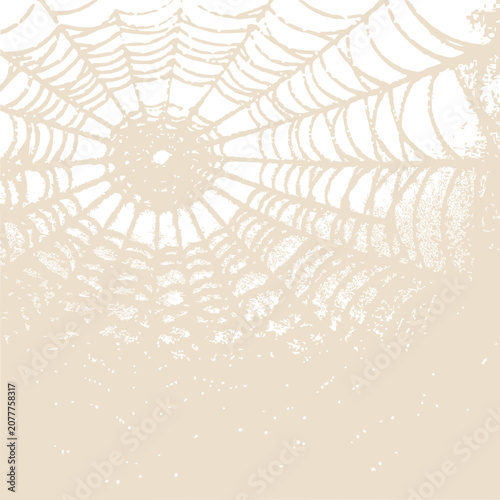 Intricate Spiderweb Pattern, Delicate Silk Threads, Natural Background Texture