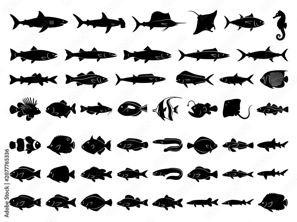 Fototapeta premium A collection of various fish silhouettes arranged in a grid pattern.