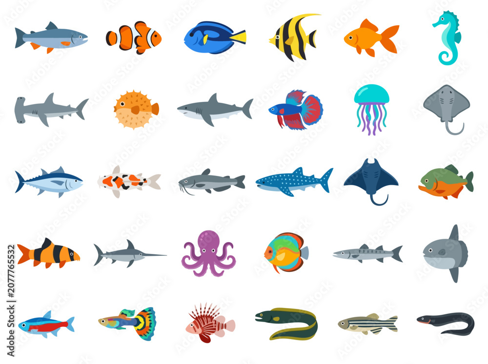 Obraz premium A diverse collection of colorful marine life and aquatic creatures in a grid layout.