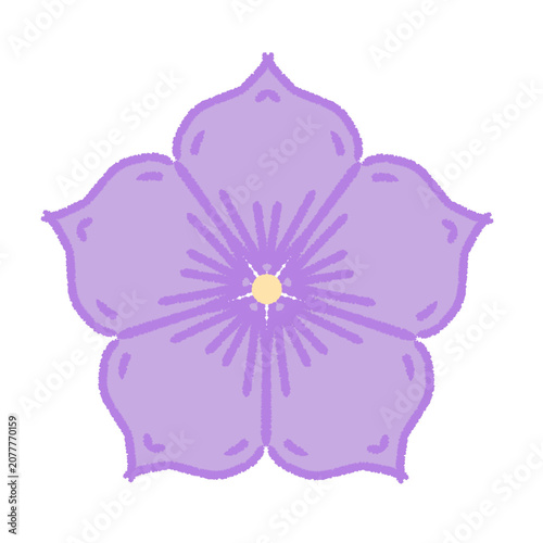 Flower Clipart PNG Transparent Background | Floral Botanical Illustration
