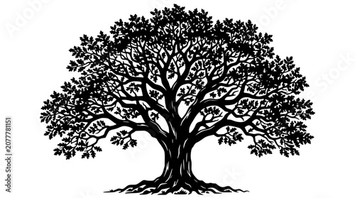 Photos Mighty oak tree with intricate branches and detailed green leaves black silhouet