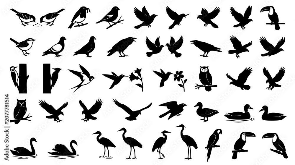 Obraz premium Birds silhouettes collection featuring flying eagle sparrow owl hummingbird toucan swan crane and wild avian species vector illustration isolated on whitev
