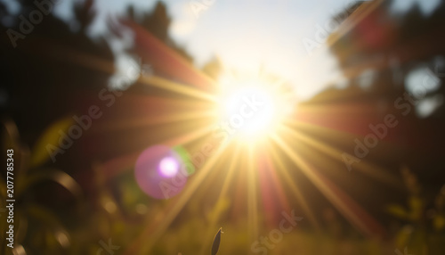 Bursts of Sunlight and rays of Light, blurry foreground. White tone