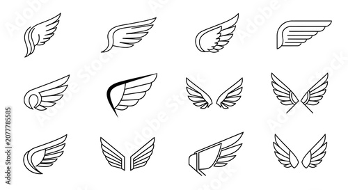 Collection Of Wing Silhouettes In Varied Linear Styles Silhouette