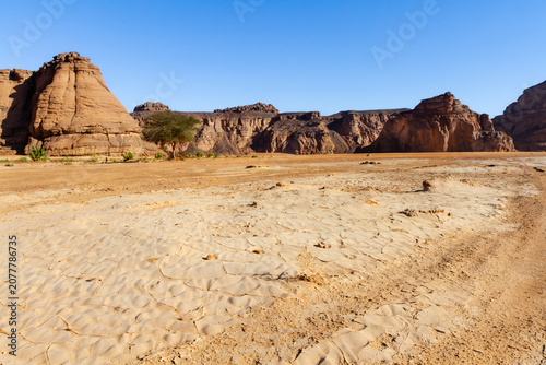 Foto Sahara landscape
