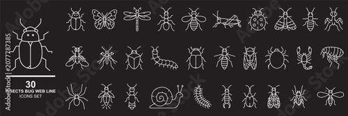 Black outline insect and bug icon set in minimalist line art style with snail, butterfly, ant, spider, bee and caterpillar pictograms.
