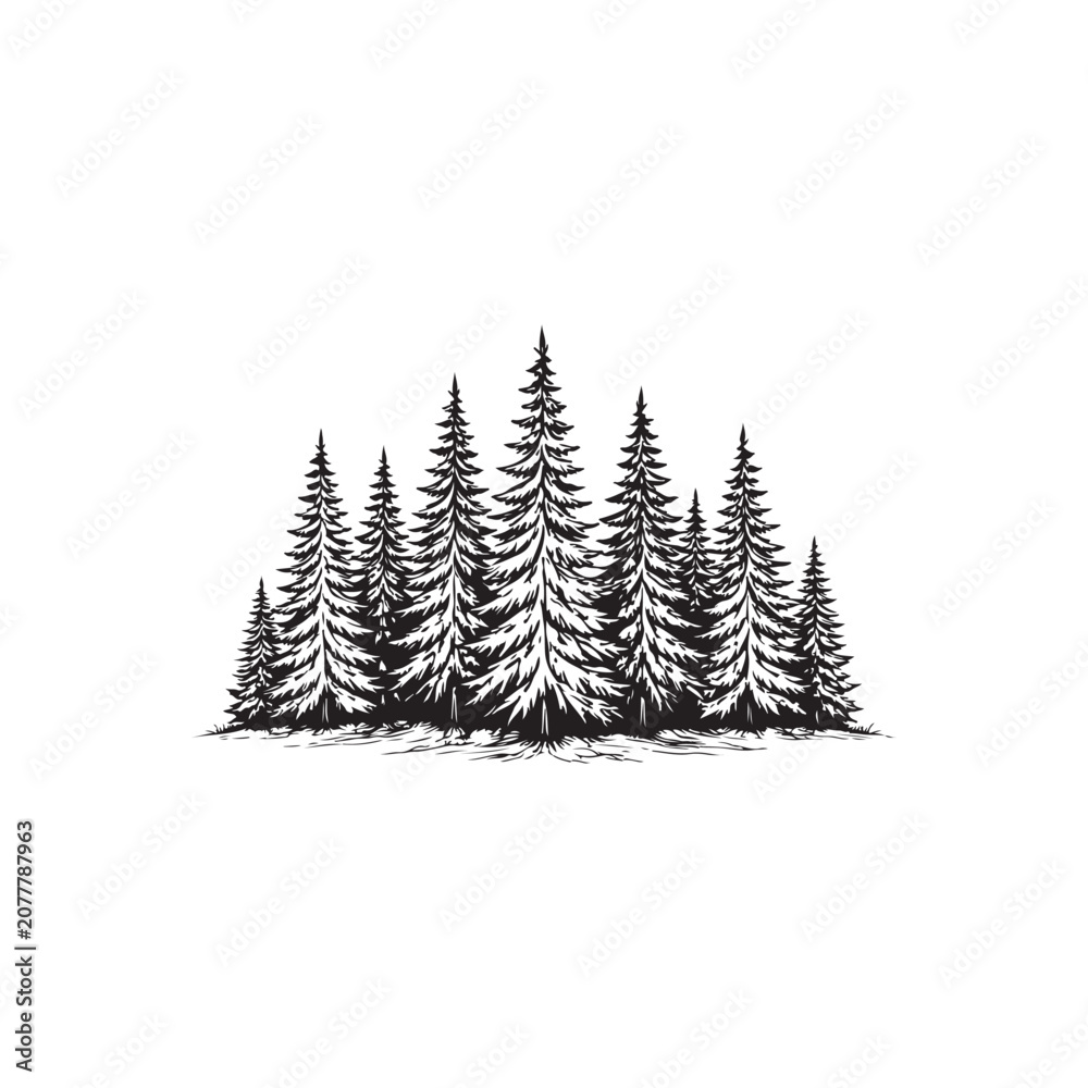 Fototapeta premium Group of pine trees silhouette forming a forest landscape vector graphic