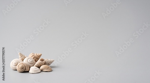 Tiny Plasticine Seashells Cluster with Grey Copy Space