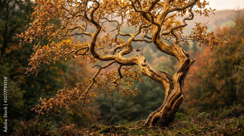 Fototapeta premium Majestic Autumn Tree in a Vibrant Forest Landscape.