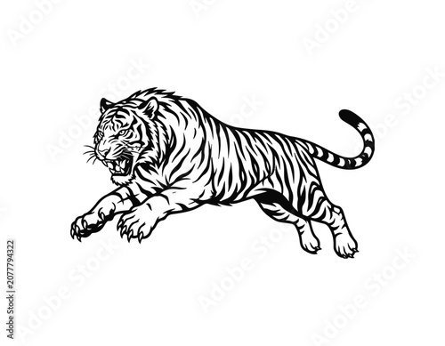 tiger