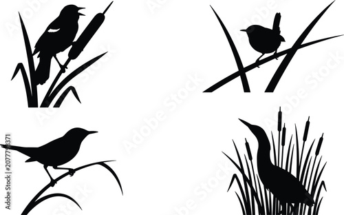Photos Marsh bird silhouette vector set featuring red-winged blackbird wren bittern per