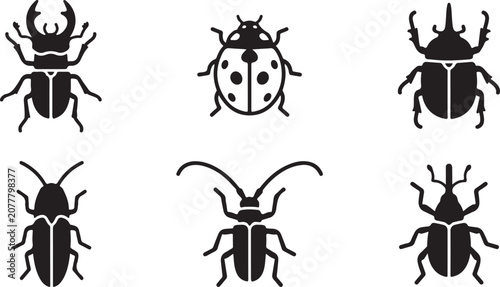 Φωτογραφία Six different black and white beetle vector icons Vector