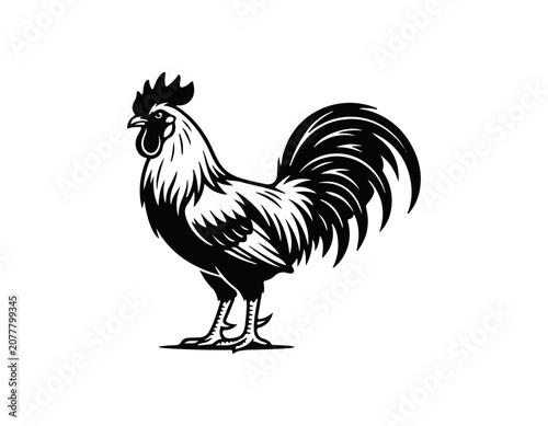 cock