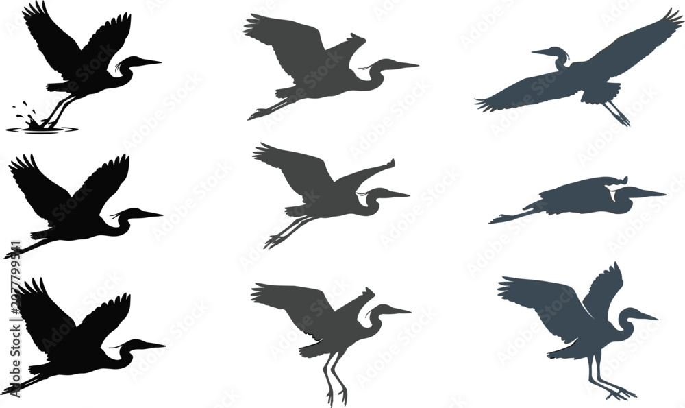 Fototapeta premium Heron silhouette vector set featuring flying wading egret crane splash wetlands coastal wildlife nature animal design elements,
