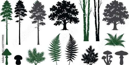 Foto Forest tree and plant silhouette vector set featuring pine oak fern mushroom and