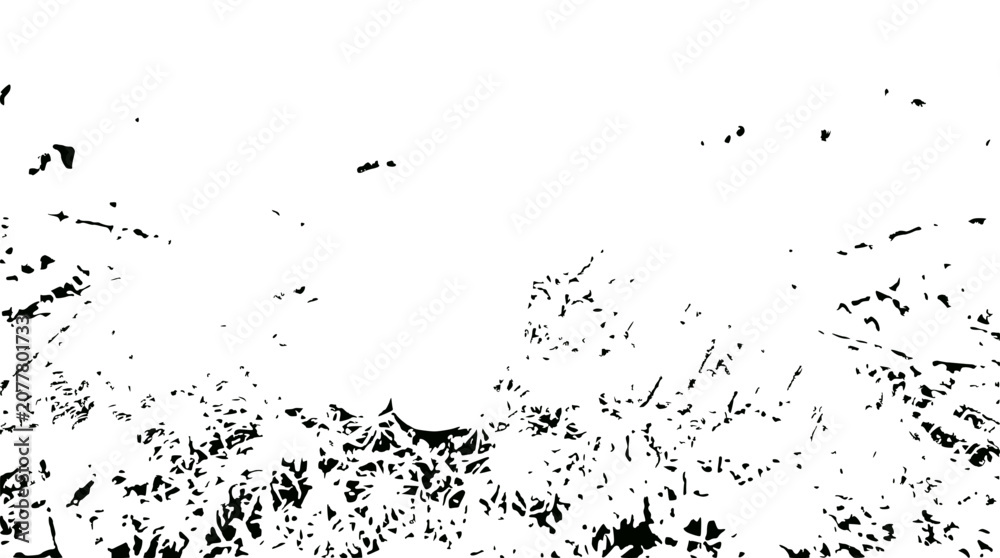 Fototapeta premium Abstract Black and White Organic Shapes Background