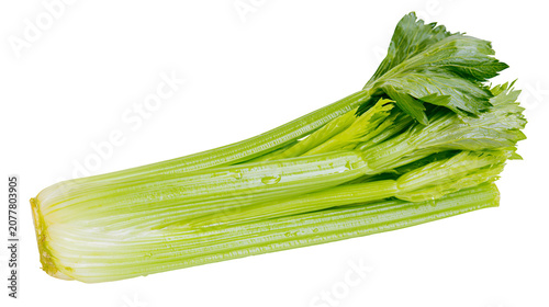 Konstfotografi Fresh green celery stalks with leaves and water droplets