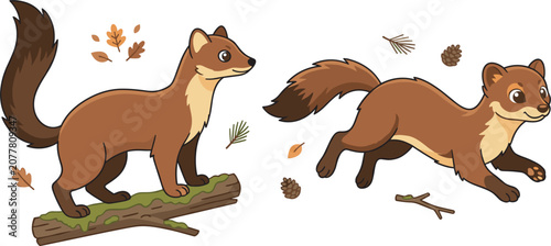 Tableau sur toile Cute pine marten animal vector illustration elements set showing weasel predator