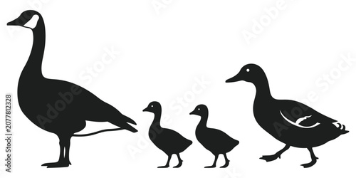 Tableau sur toile Silhouette of a canada goose family with two goslings isolated on white backgrou
