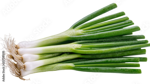 Fresh green onions with white bulbs and roots