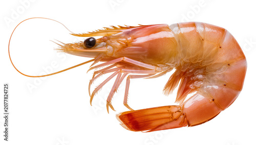 Photos Cooked shrimp with orange shell and black eye