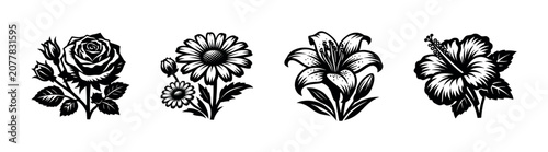 Φωτογραφία Collection of four distinct floral illustrations in black and white