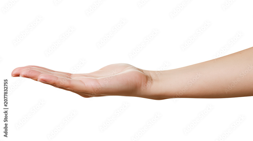 Fototapeta premium Open palm hand extended forward, offering or receiving gesture