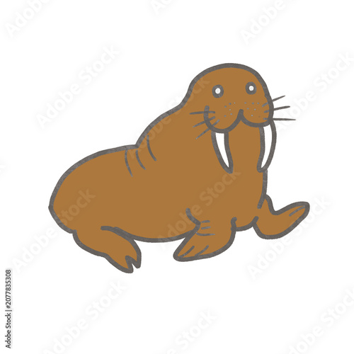 茶色のセイウチのかわいいイラスト