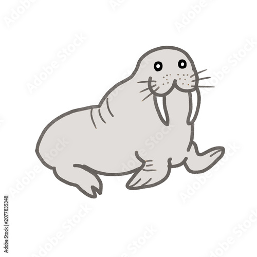 グレーのセイウチのイラスト