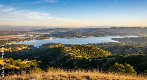 Golden hour aerial view of vast farmland and forest.