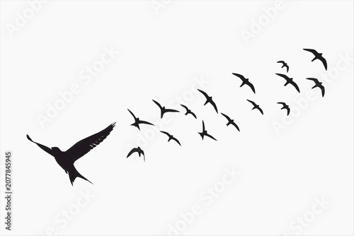  Flying bird silhouette 