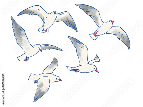 Fotografie 空を飛んでいるカモメのイラスト（複数羽）