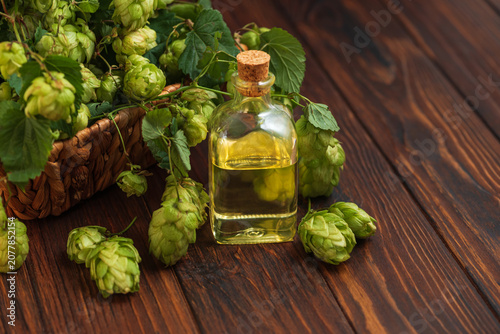 Schilderij op canvas Hops cones and essential oil extract in bottle
