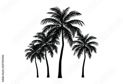 Palm vector silhouette design featuring three isolated trees