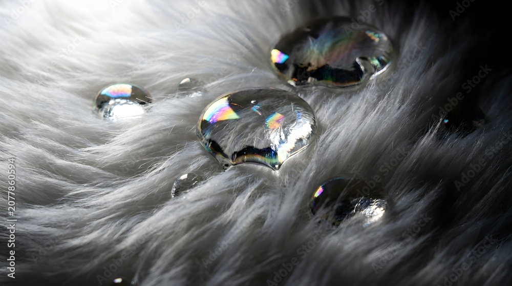 Naklejka premium Clear liquid droplets with iridescent rainbow reflections resting on soft white faux fur captured in high resolution macro photography style
