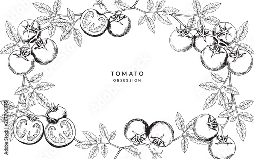 Fresh Tomato Branch with Leaves. Hand Drawn Botanical Ink Vector Illustration Background for Food Menu, Brochure, Packaging, Template Layout and Cover Design