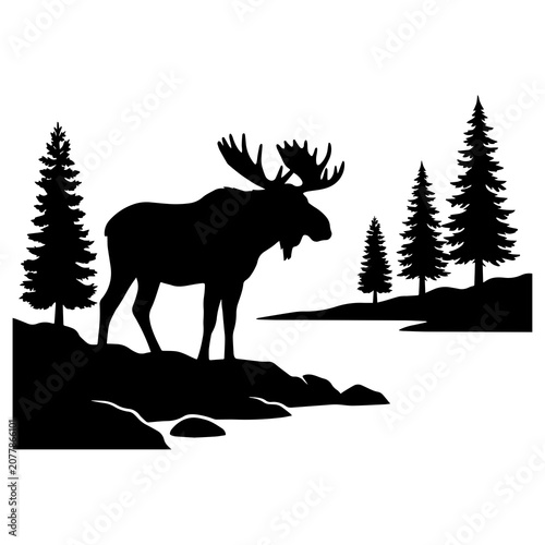 Fotografie Black silhouette of a moose standing on a rocky shoreline with tall pine trees a