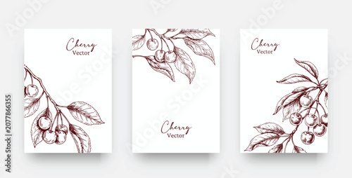 Elegant Cherry Blossom Card Set. Hand Drawn Sakura Botanical Vector Illustration for Wedding Invitation, Valentine's Day Card, Brochure, Cover and Template Design