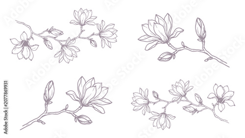 Luxury Hand Drawn Sakura Cherry Blossom Branch Collection. Vintage Botanical Ink Vector Illustration for Spring Wedding Invitation, Save the Date Card, Wallpaper and Elegant Floral Design