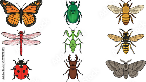 Canvastavla Insects and Bugs Vector Icon Set Featuring Monarch Butterfly, Scarab Beetle, Hon