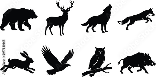 Photography Wild animals black silhouette vector set isolated on white background for nature