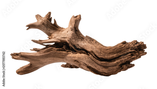 Gnarly weathered driftwood branch with intricate texture, isolated on transparent background