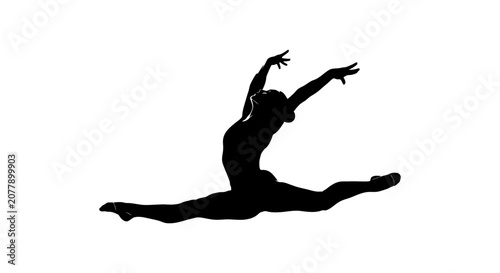 Bild auf Leinwand Silhouette of a dancer executing a graceful leap.