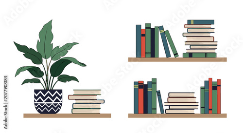 Flat vector illustration of cozy wooden bookshelves filled with colorful books next to a green potted plant.