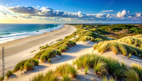 Coastal Sand Dunes with Beach Grass and Calm Ocean Horizon