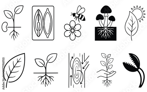 Botany and plant biology vector icons set featuring seedling roots leaf seed anatomy bee mushroom photosynthesis and Venus flytrap elements