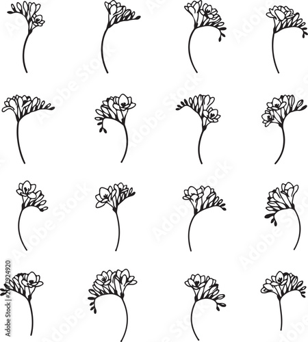 Set of black line drawn flowers on white background for design