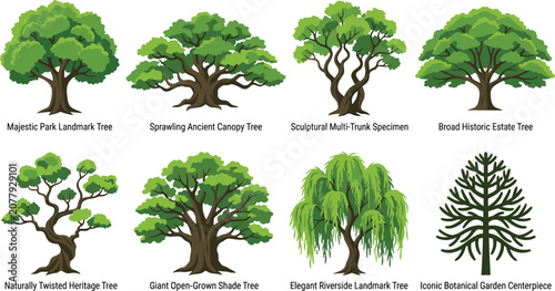 Foto Vector illustration collection of various green landscape trees and botanical ga