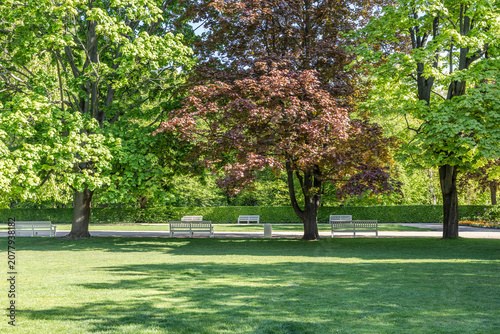 Sunny summer park landscape in Lazienki, Warsaw with green lawn, trees and white benches.