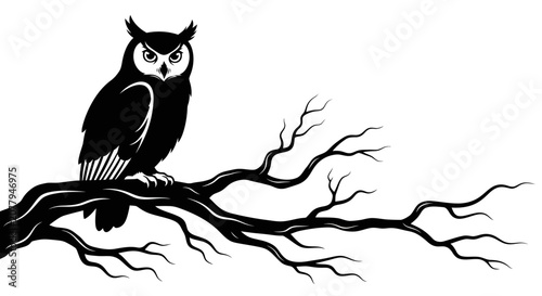 Quadro em tela Wise owl silhouette perched on bare tree branch, nocturnal bird, isolated white background
